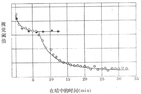 暗适应曲线