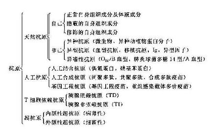 四,超抗原_醫學免疫學_西醫資料_抓藥網